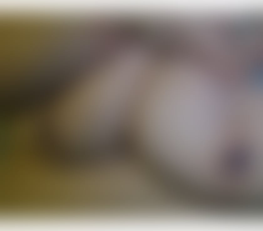 Escorts Lancashire Blackpool - Photos for Sexy BBW Woman Available in Blackpool