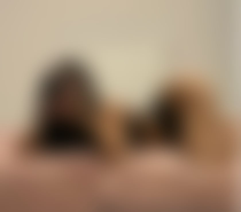  Escorts & Erotic Massage Newcastle City Centre Newcastle upon Tyne - Photos for 💣1h50£💣PARTY GIRL 💣FULL SERVICE 💣