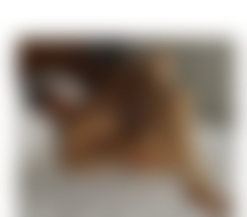 Escorts Worcestershire Worcester - Photos for Beautiful Chinese waiting in Worcester for your call
