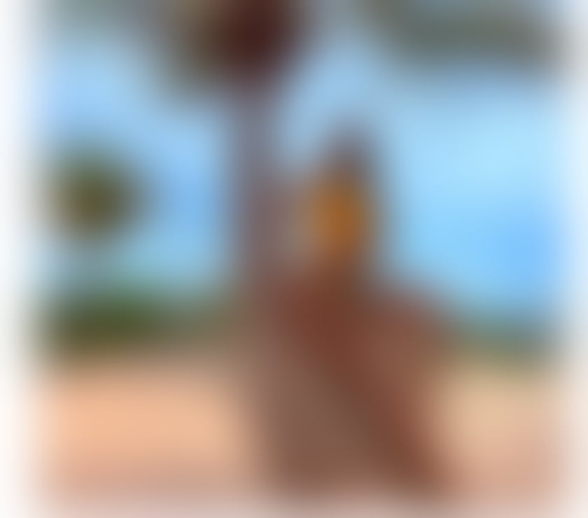Watford Town Centre - Watford — 🇧🇷 Thais 🔞Brazil for a short time in WATFORD-WD17