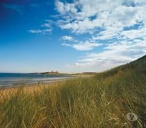 ABI static caravan for sale near Dunstanburgh Castle & Golf