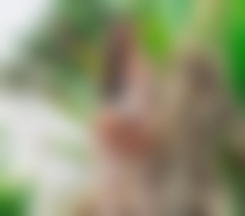 Escorts Merseyside Liverpool - Photos for Gisele sweet girl