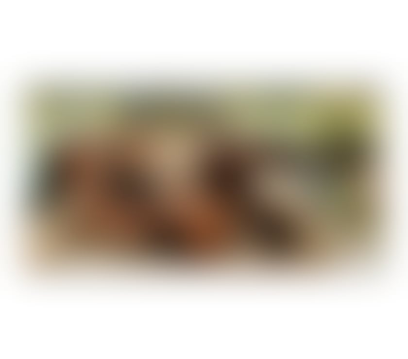  Escorts & Erotic Massage Romford Havering - Photos for 🔥 Kety ❤️ New Girl ❤️ ONLY OUT❤️