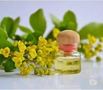 Wannisa Thai massage