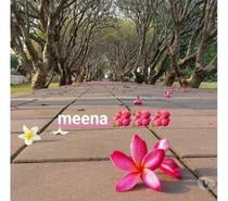 Meena Massage Servies