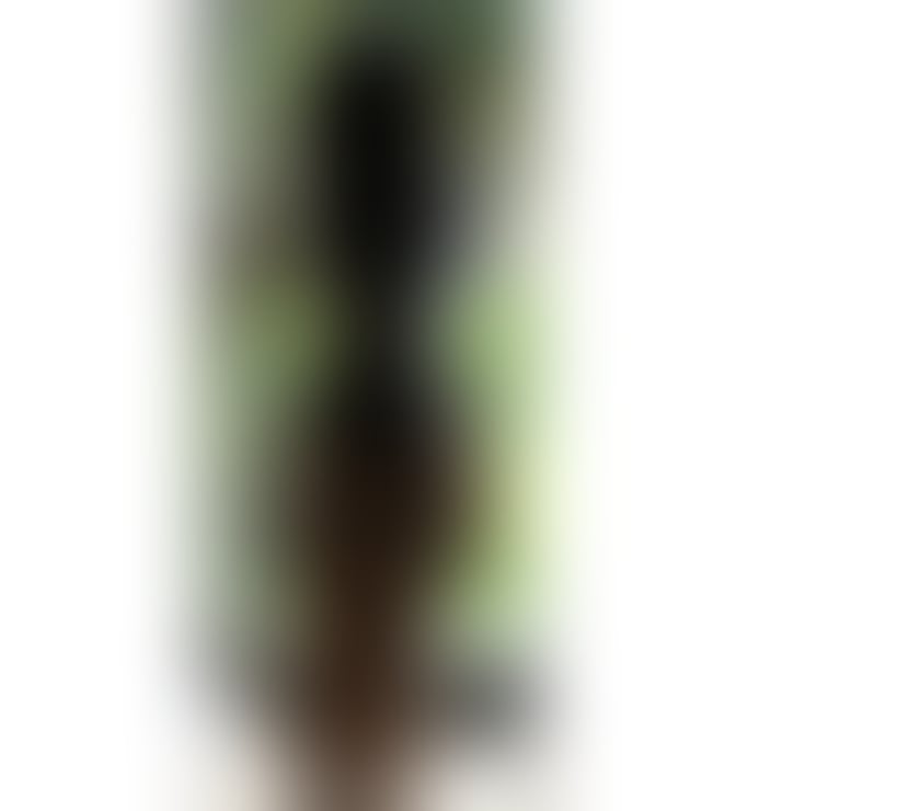 Escorts West Midlands Birmingham - Photos for Sarah SOMALIAN Abony in Birmingham