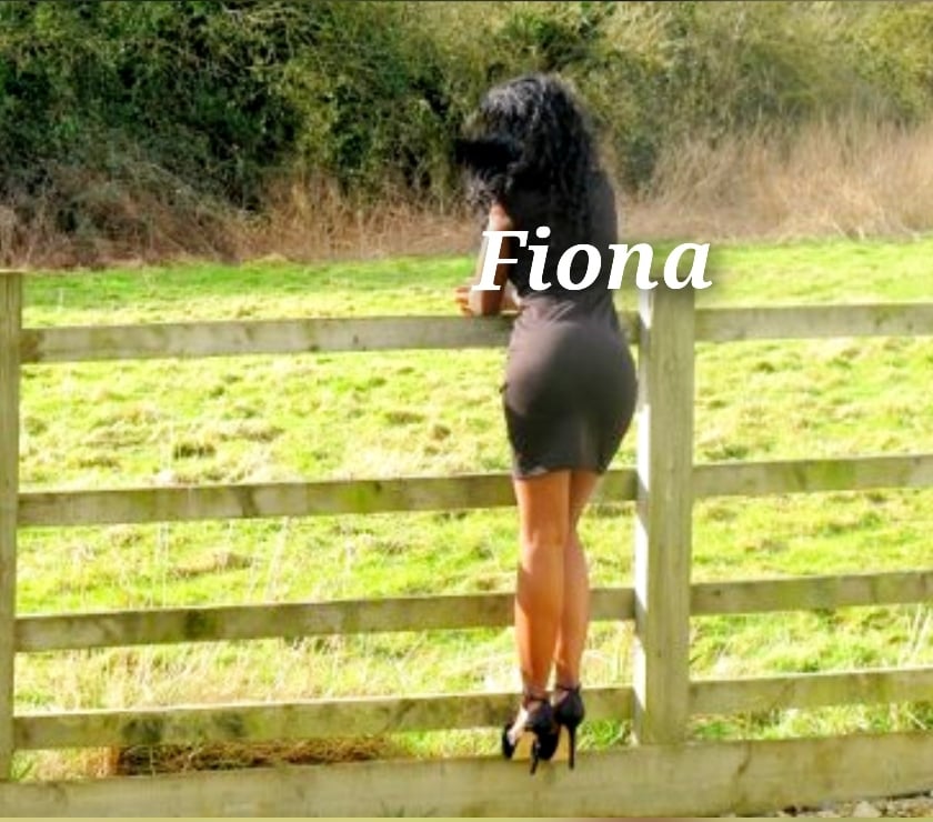 Escorts Exeter City Centre Exeter - Photos for Sexy Ebony Gfe INDEPENDENT BRITISH Bisexual PARTY GIRL