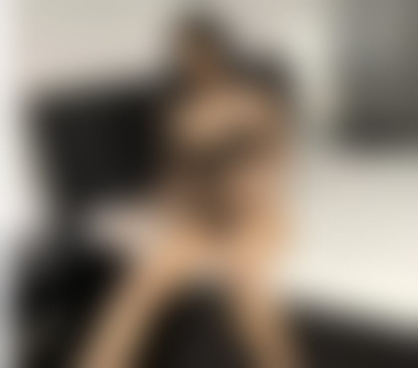 Escorts Oxfordshire Oxford - Photos for IZABEL NOW OXFORD