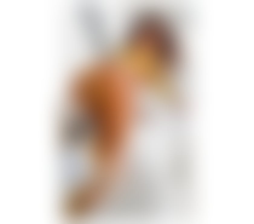 Escort Watford Town Centre Watford - Photos for Franci😘 Luxury😘Hygiene , education😘INCAL🫶OUTCALL