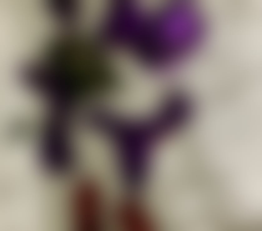 Escorts Greater Manchester Wigan - Photos for Wigan born and bread