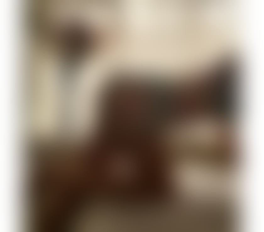 Escorts Somerset Bridgwater - Somerset - Photos for English_Natalie