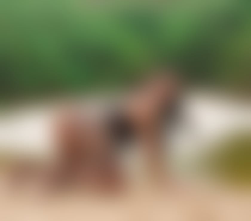 Escorts Warrington Warrington Town Centre - Warrington - Photos for Mermaid Gisele Brazilian girls