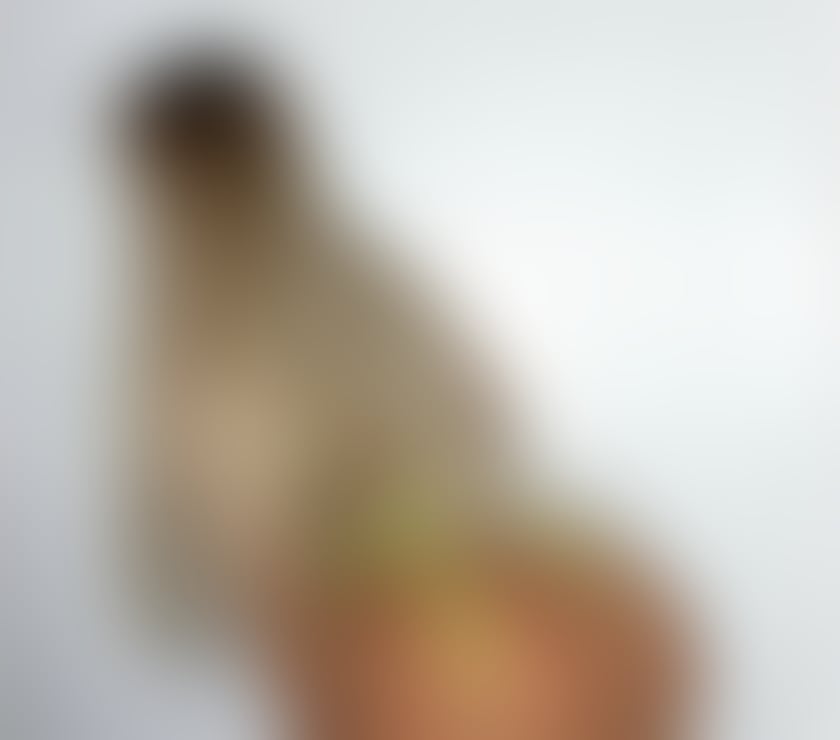 Escorts Lancashire Blackpool - Photos for 🔝NEW ESCORT 🔝Jesse🥂PARTY GIRL🥂