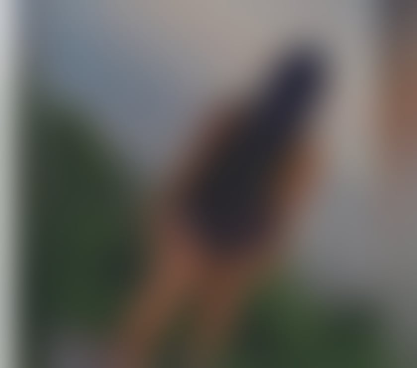  Escorts Gorseinon Swansea - Wales - Photos for PRINCESS FRANKIE, BEST BJ SKILLS IN SWANSEA