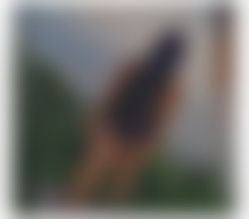 Escorts Swansea - Wales Gorseinon - Swansea - Photos for FINDOM AND ALL FETISH FRANKIE