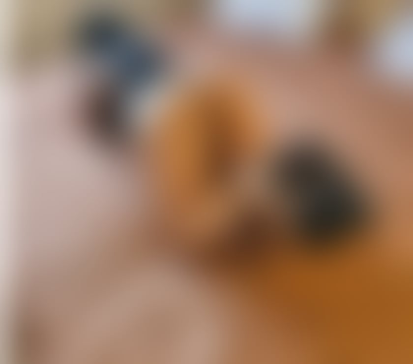 Escorts Fenham Newcastle upon Tyne - Photos for ❤️Hello guys I m alesya new in town only outcall🥰