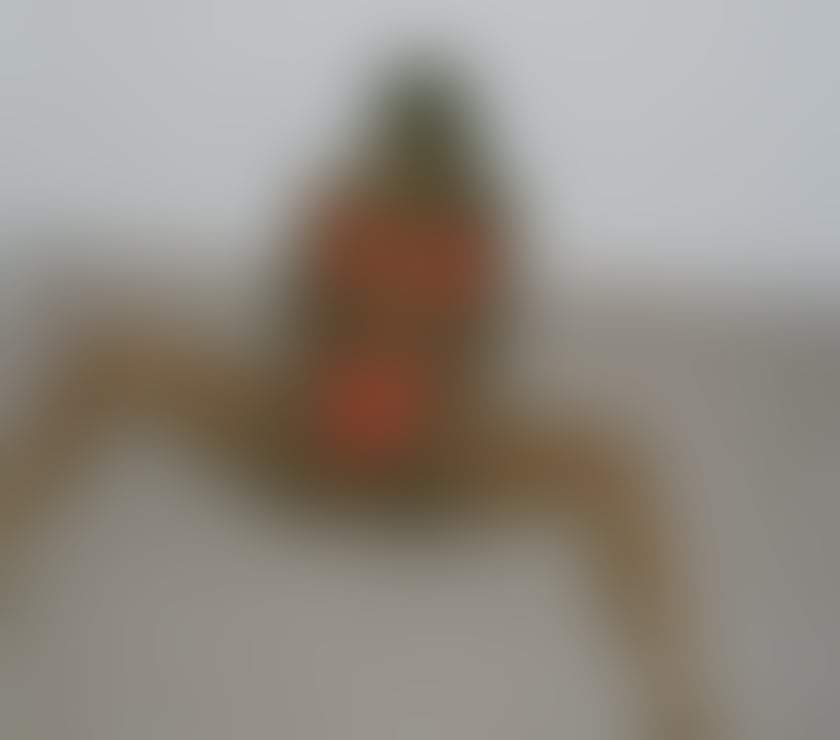 Escorts South West London Chelsea - South West London - Photos for 🍫💋 Kelly Monroe | Sexy Ebony OUTCALL ONLY🔥