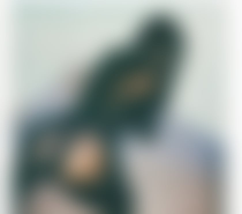 Escorts South West London Chelsea - South West London - Photos for 🍫💋 Kelly Monroe | Sexy Ebony OUTCALL ONLY🔥