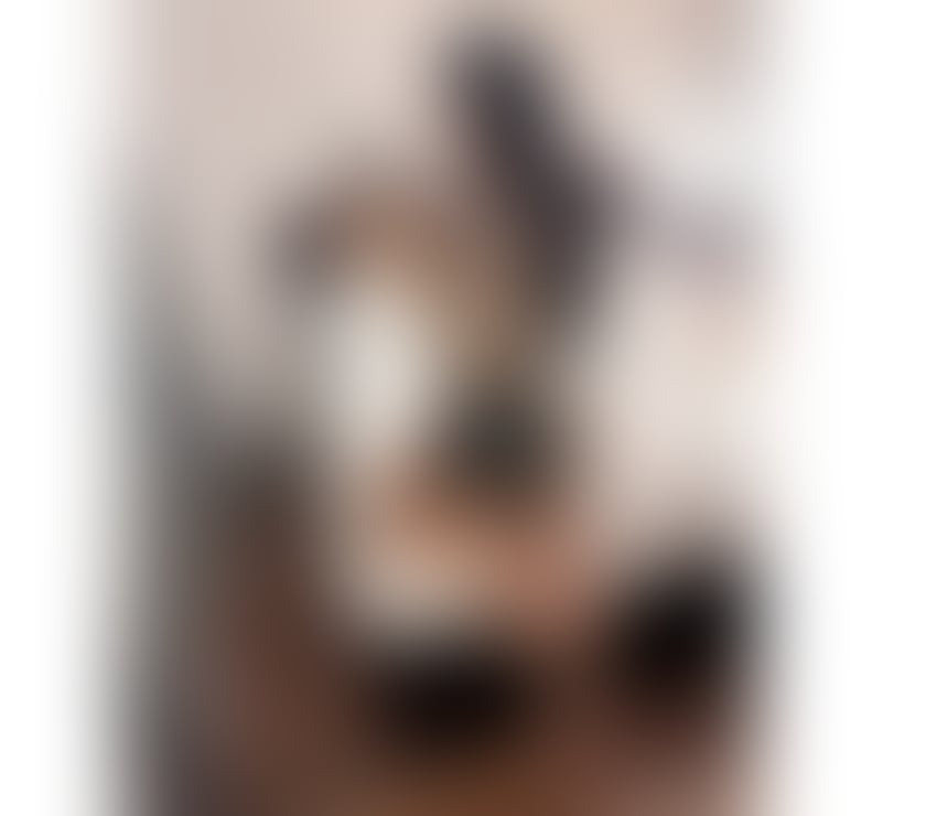 Escorts Dundee Dundee City Centre - Dundee - Photos for Sophia New In City Real Picture💯