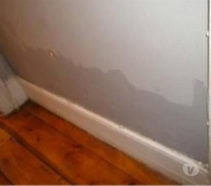 Find a tradesman Crystal Palace South East London - Photos for RISING DAMP & WOODWORM TREATMENT