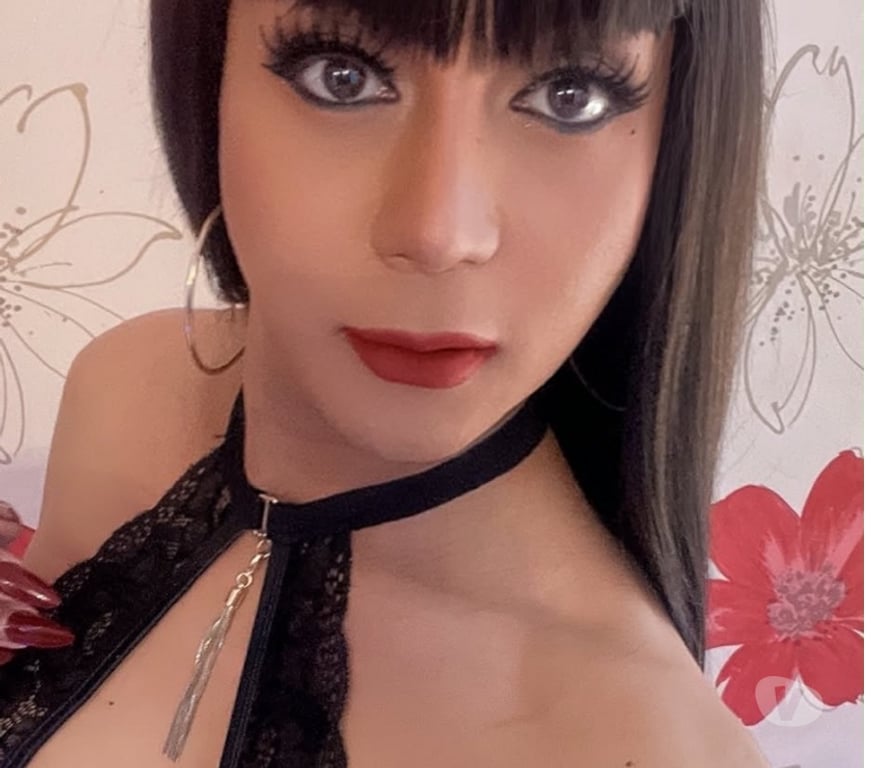 Trans Escorts Devon Exeter - Photos for Very Very Naughty Sexy Thai TS Ladyboy back in Exeter x