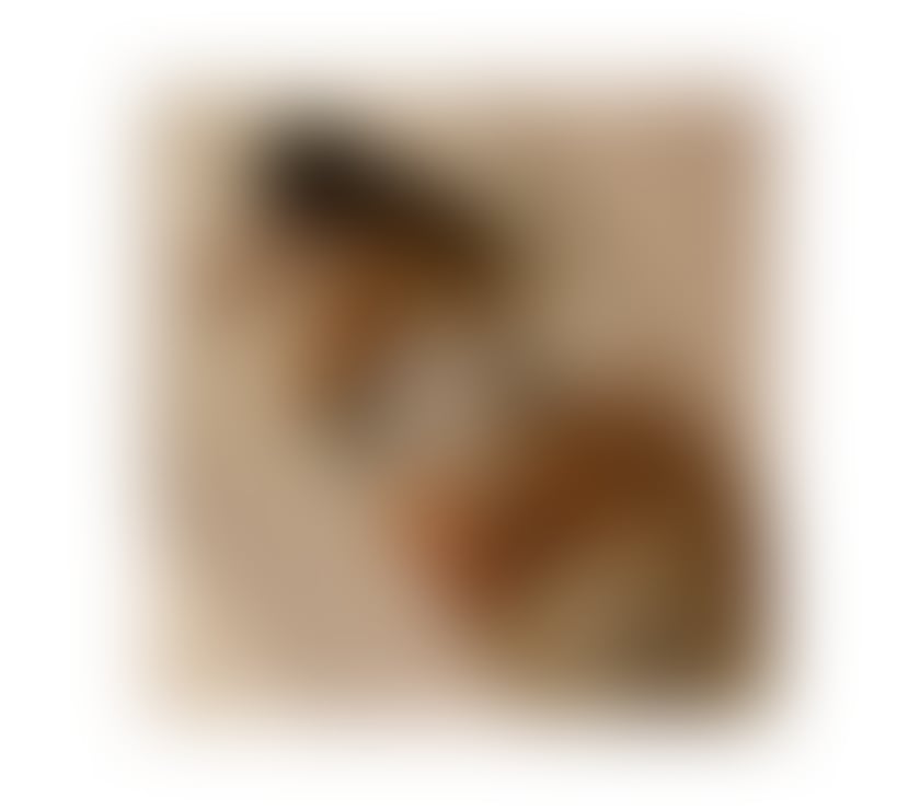 Escorts Wiltshire Salisbury - Wiltshire - Photos for Let’s Escape for a While 😈✨