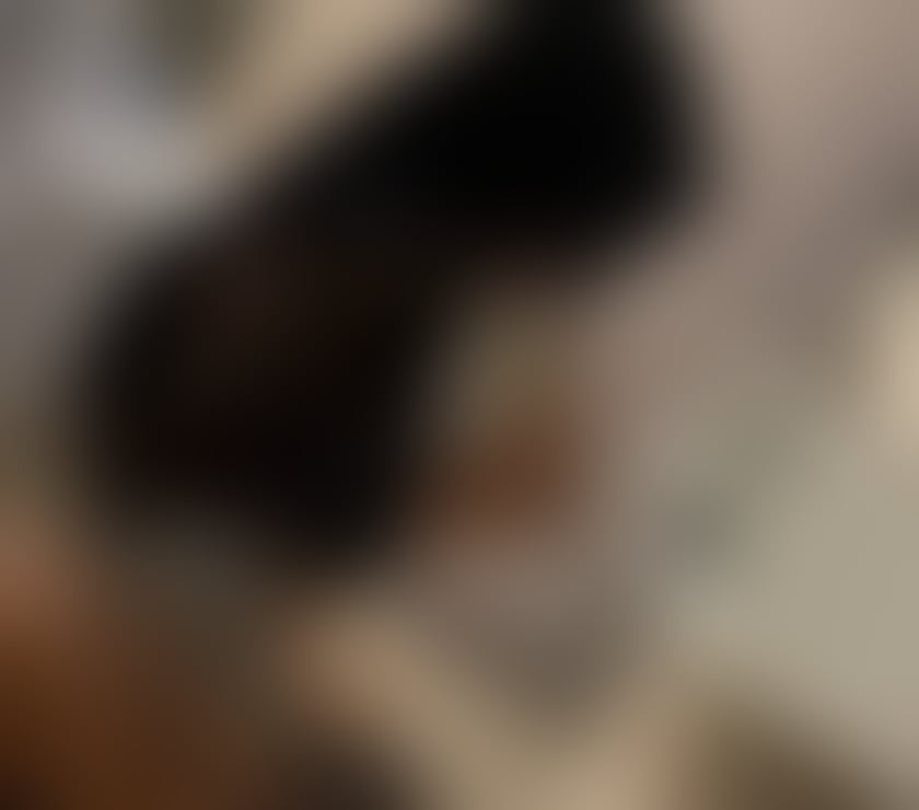 Escorts South East London Bromley - Photos for LUSY💯❌TOYS DOMINATION😈💕