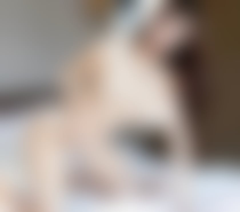 Escorts Lancashire Pendle - Photos for New!🌹💯 VIP Asian Escort 💯🌸 Service