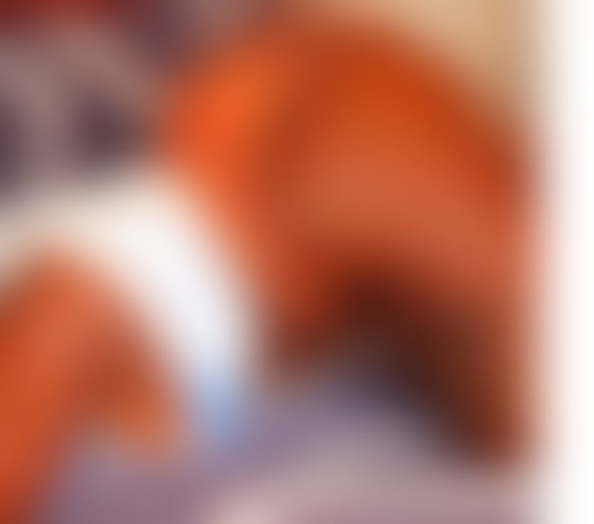 Escorts West Northamptonshire Northampton - West Northamptonshire - Photos for 💎 Mirror -A Curvy Reflection of Pure Desire 💎