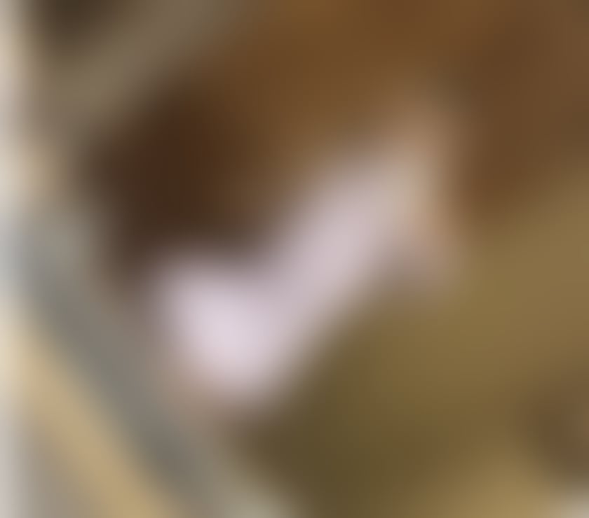 Escorts Chester Cheshire West and Chester - Photos for PARTY❤️KIM SEXY INNCALL&OUTCALL❤️❤️