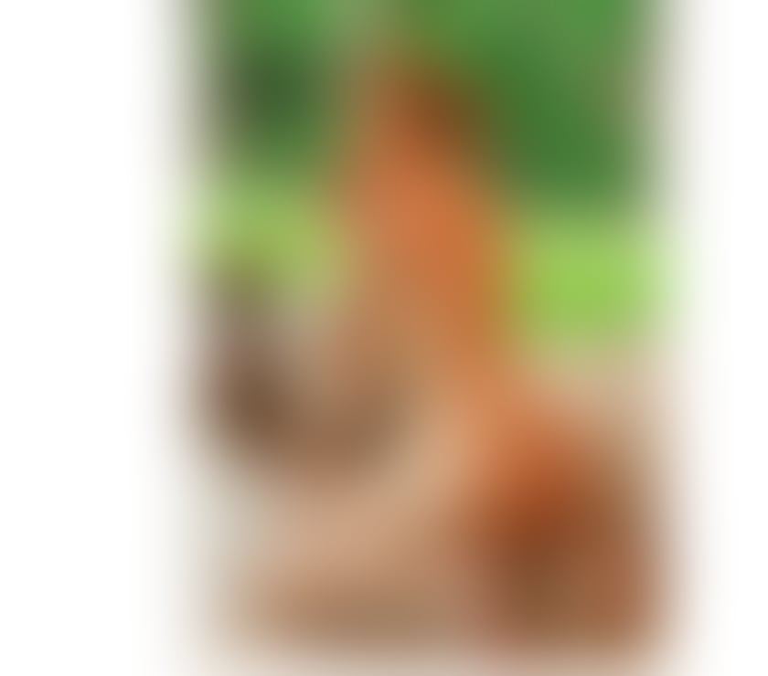 Escorts Hertfordshire St. Albans - Photos for 🍆❤️CATALINA HOT ASS GFE PARTY GIRL ❤️🍆