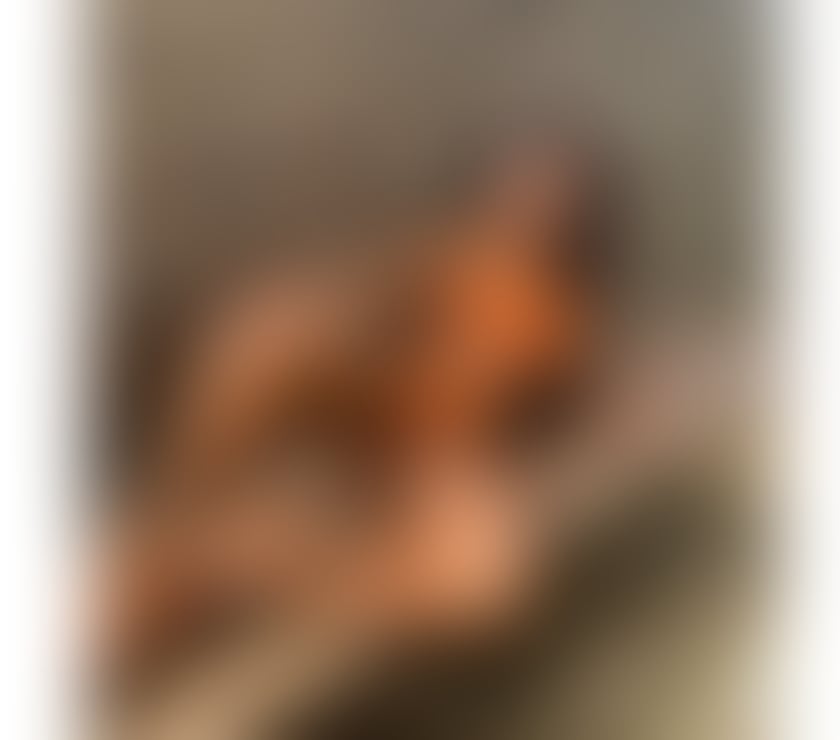 Escorts Newport - Wales Newport City Centre - Newport - Photos for 🇧🇷 Dandara Campos 🇧🇷 naughty 🔥