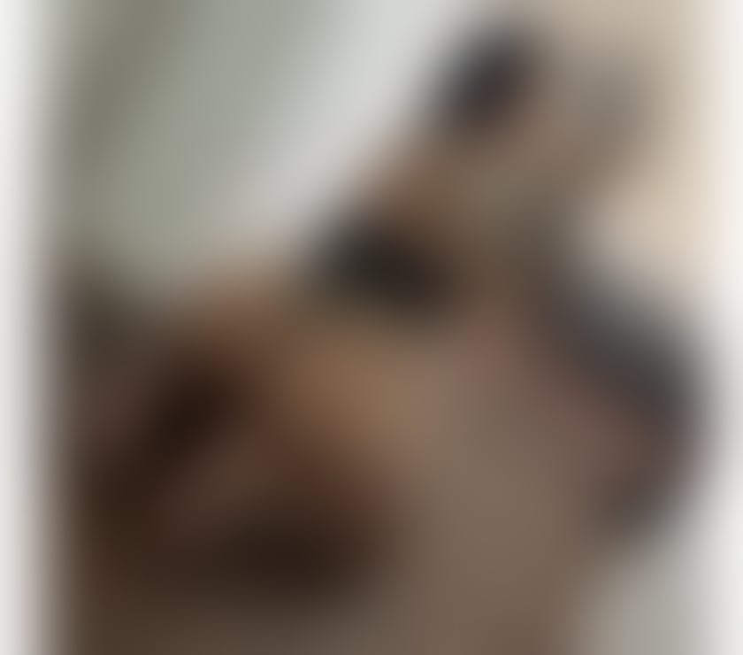 Escorts North West London Harrow - Photos for ❣BIANKA ❣NEW GIRL PARTY ☎️ INDEPENDENT 🔞PHOTO %