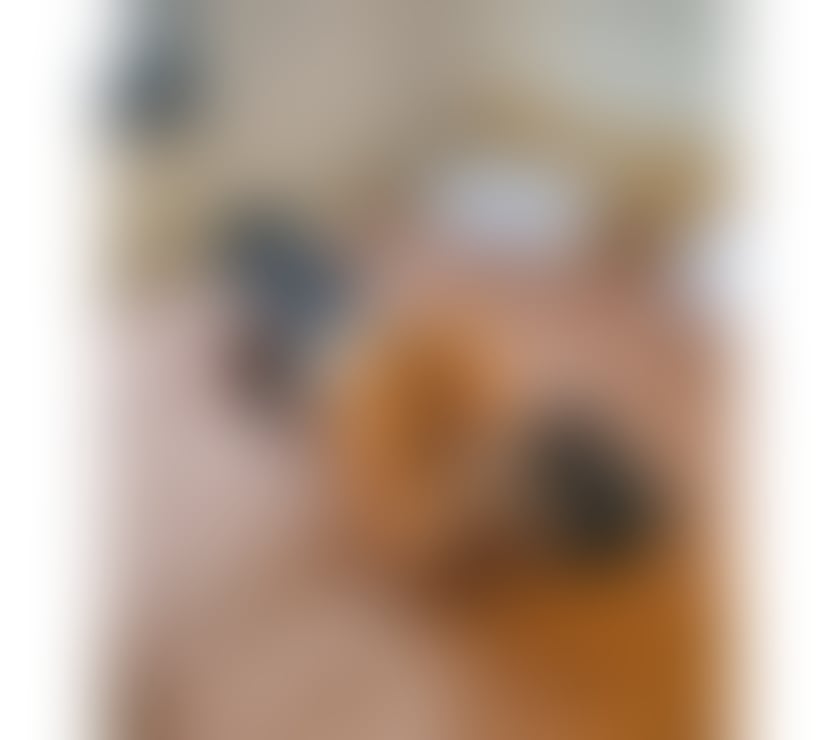 Escort Fenham Newcastle upon Tyne - Photos for Vanessa Perfect Body❗ 💋 PARTY GIRL