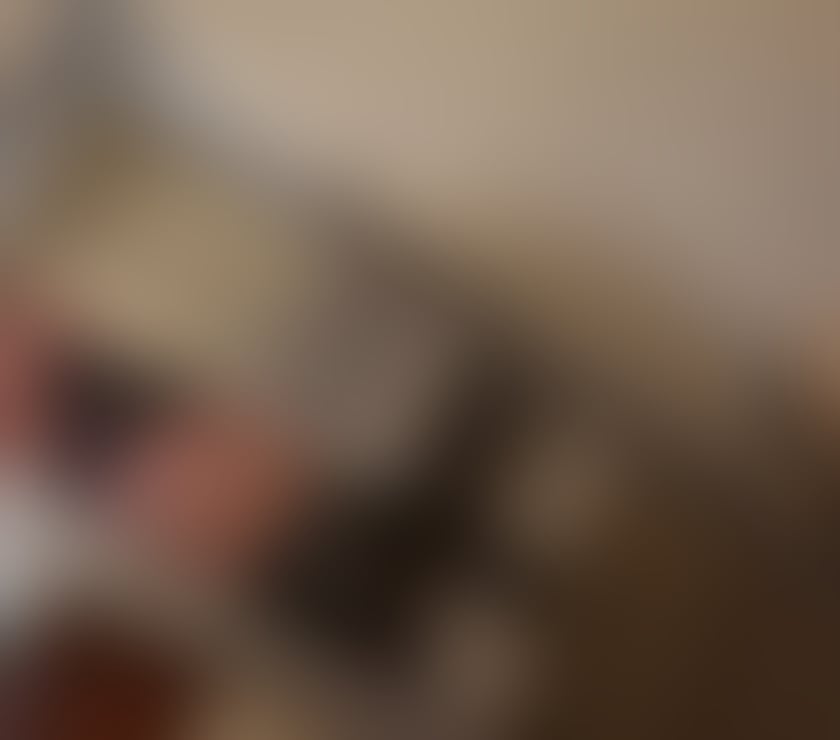 Escorts Staffordshire Stoke-on-Trent - Photos for Natural Sexy British Girl💋🍆