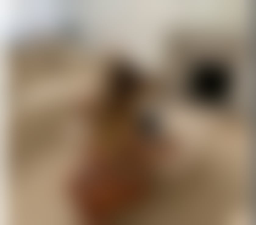 Escorts Brent Wembley - Brent - Photos for VERONiKA💋New Girl,💥Real Pics😛😋BEST SERVICE❤️