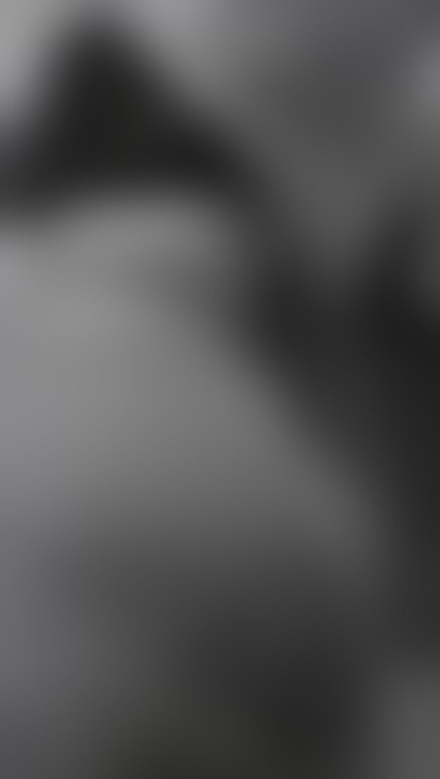 Escorts Lancashire Blackpool - 