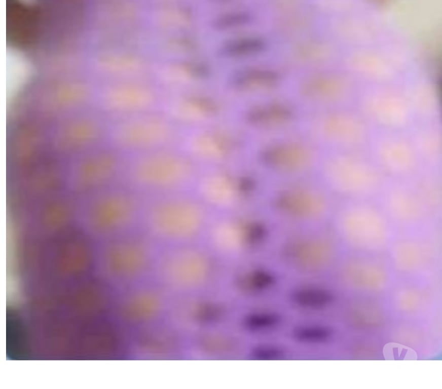 Escorts Lancashire Preston - Photos for Nenar, sexy Thai lady in Preston