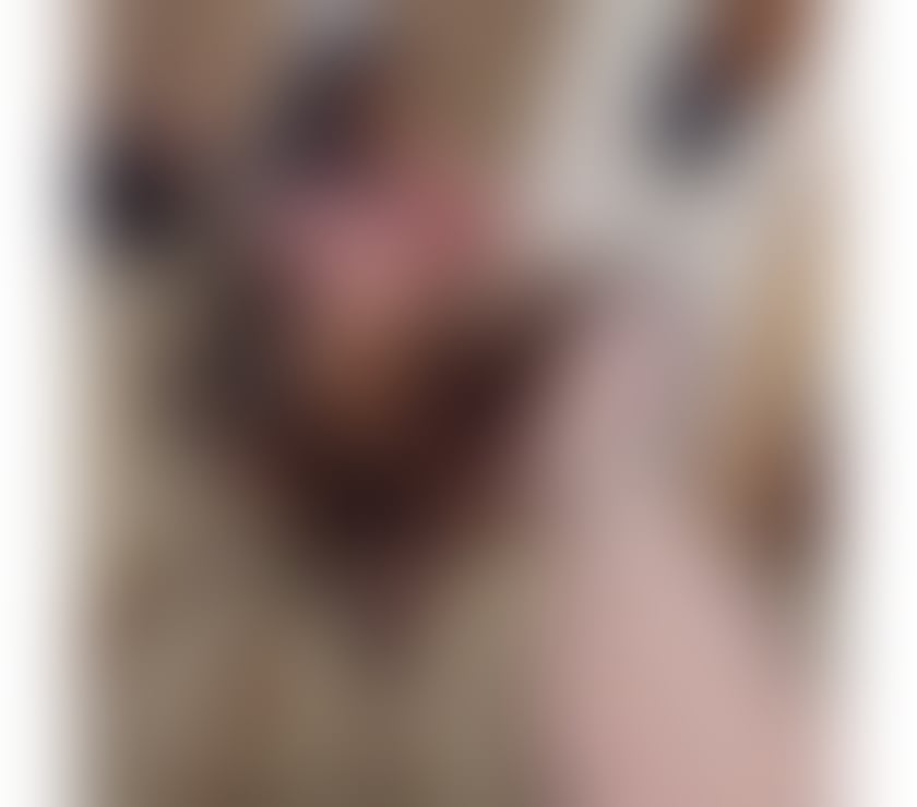 Escorts Suffolk Ipswich - Photos for 💎Luxury Escort💎fresh👄NEW💯OUTCALL ONLY📞💙