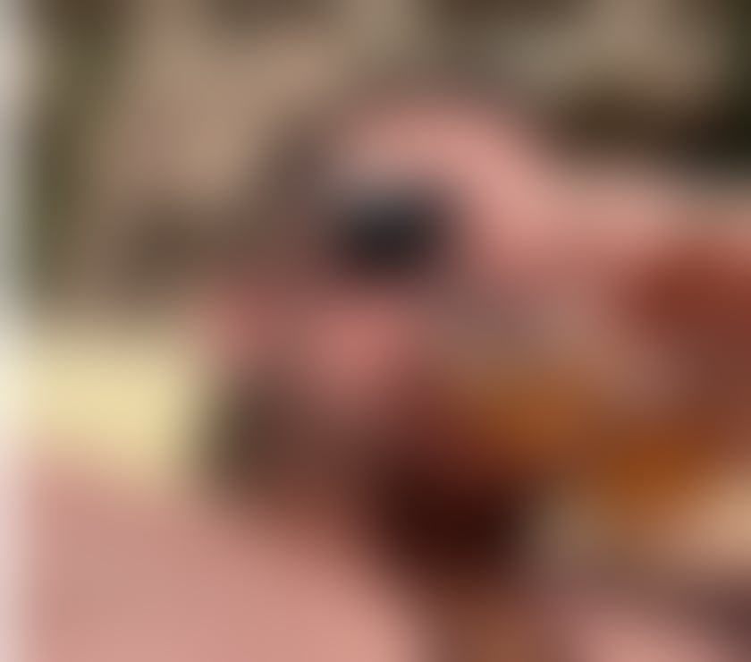 Swingers Community Stanway Colchester - Photos for 28 group sessions now ?