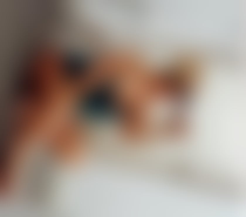 Escorts Hertfordshire Dacorum - Photos for ⚜️ HERTS ENGLISH ELITE PRINCESS ⚜️