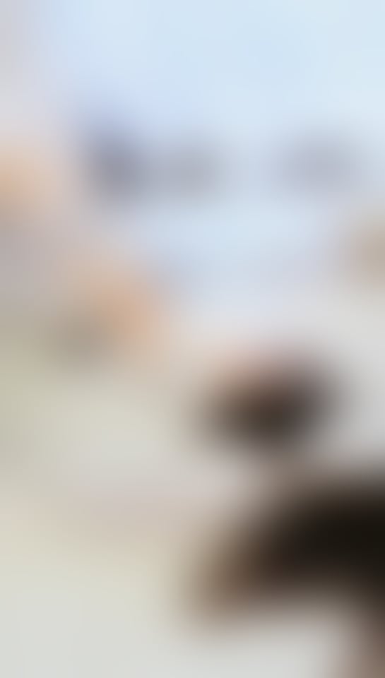 Escorts West Yorkshire Kirklees - 