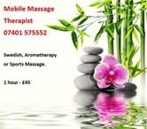 Massage therapist