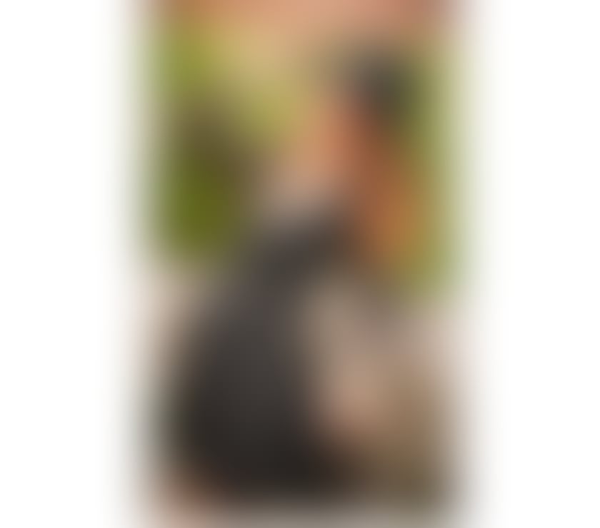 Escort Hendon North West London - Photos for Paloma ❤️❤️❤️🔥🔥🔥