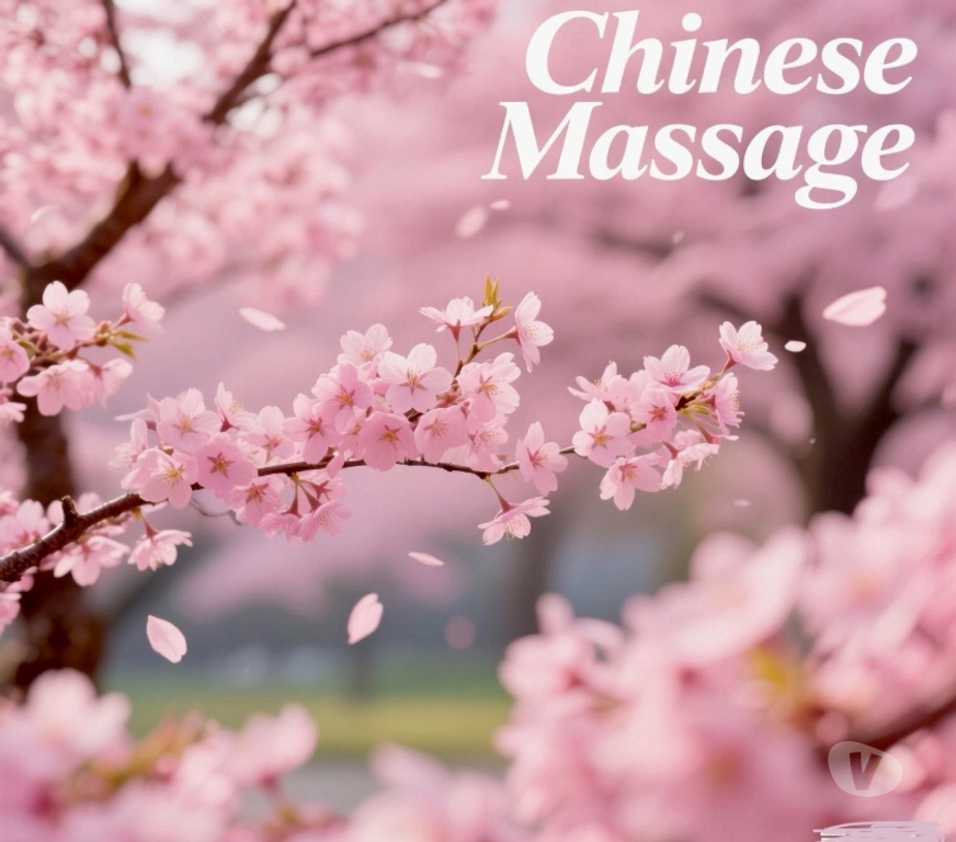 Escorts Staffordshire Staffordshire Moorlands - Photos for ☘️☘️ Caicai Chinese Pamper Macclesfield☘️☘️