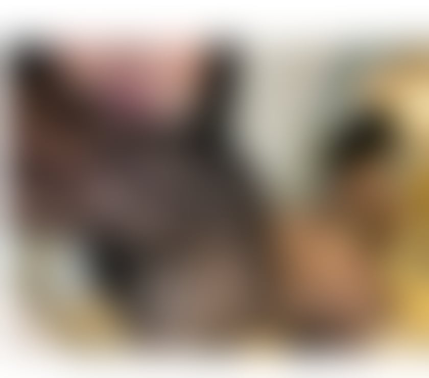 Escorts Buckinghamshire Milton Keynes - Photos for GYA❤️ SEXY GIRL🍑👅 PARTY 24H🍾👄💯