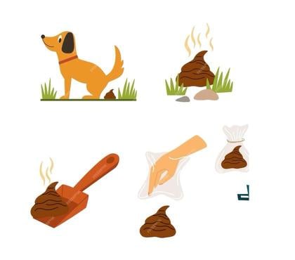 Other Services Ilmington Stratford-on-Avon - Photos for Pooper Scooper Services LTD