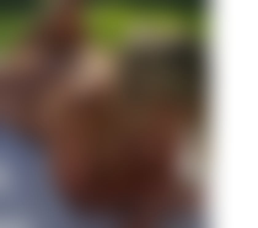 Escorts Belfast Belfast City Centre (South) - Belfast - Photos for Busty curvy appetizing