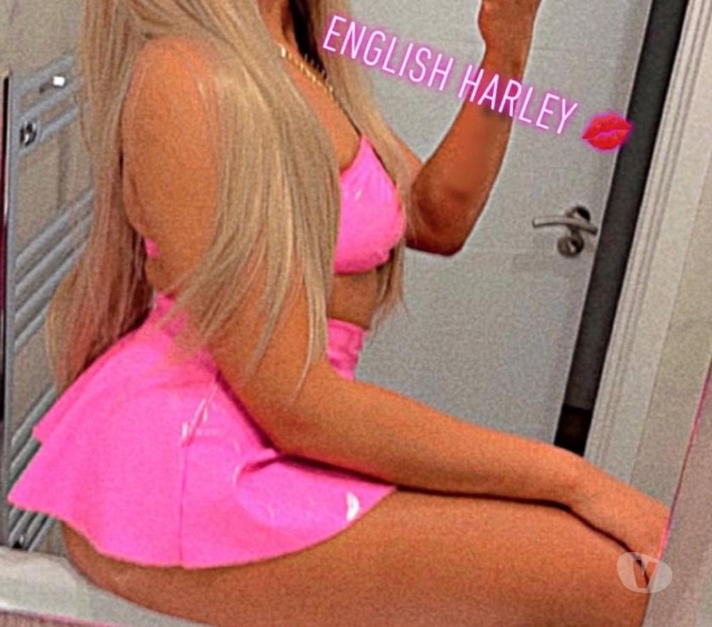 Escorts Kent Dartford - Photos for ENGLISH MIXED HARLEY