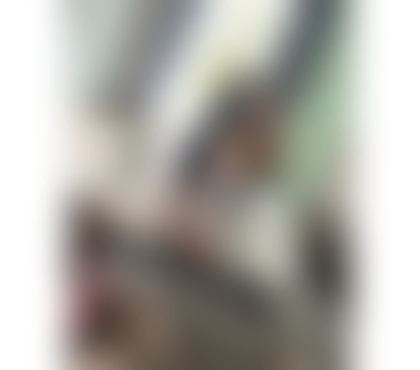 Escorts North London Wood Green Station - North London - Photos for Beautiful and Sweet Latina in📍N22 ☎️07849654671